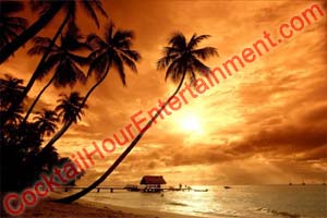 digital backdrop sample 46 tropical sunset